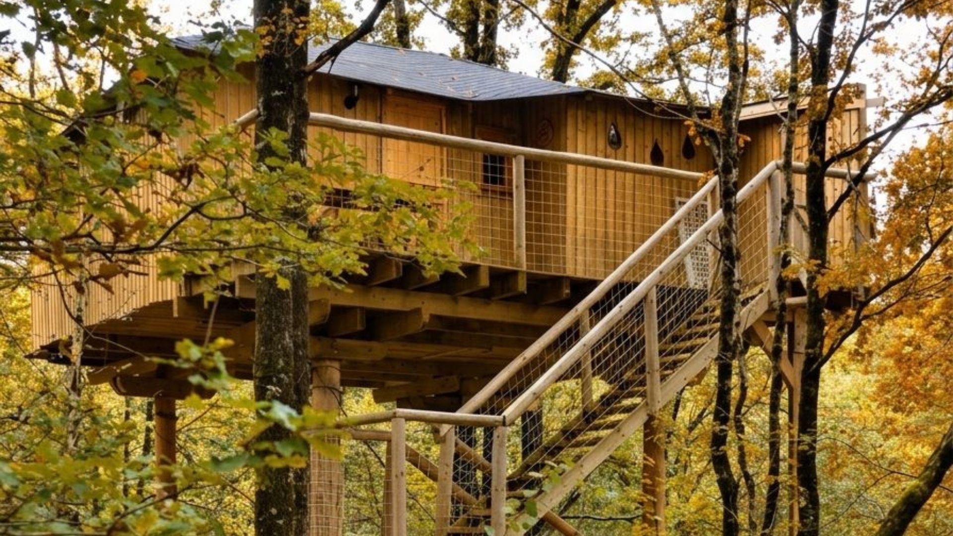 offre automne