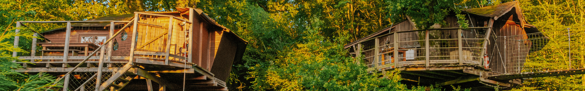 dormir-dans-une-cabane-dans-un-arbre-domaine-de-dienne