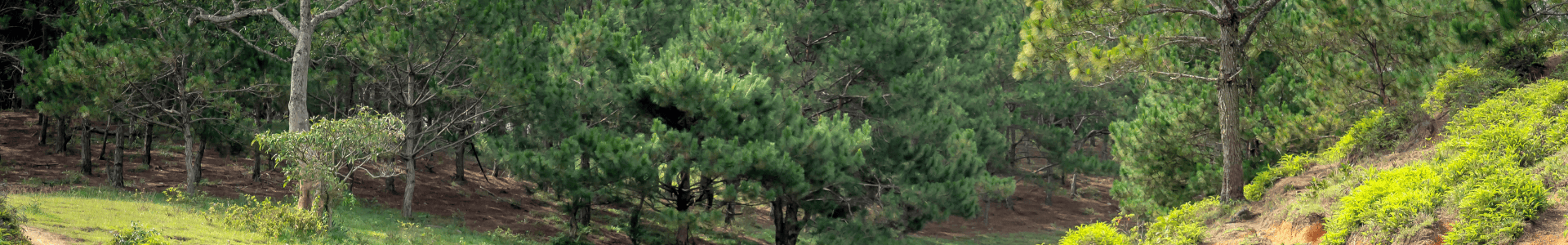 Préparer sa visite au Domaine de Dienné