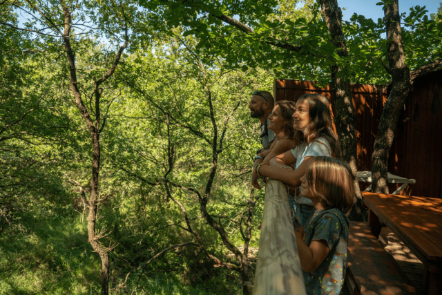 Opening hours & prices