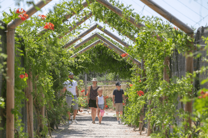 Accessibilité au Domaine de Dienné