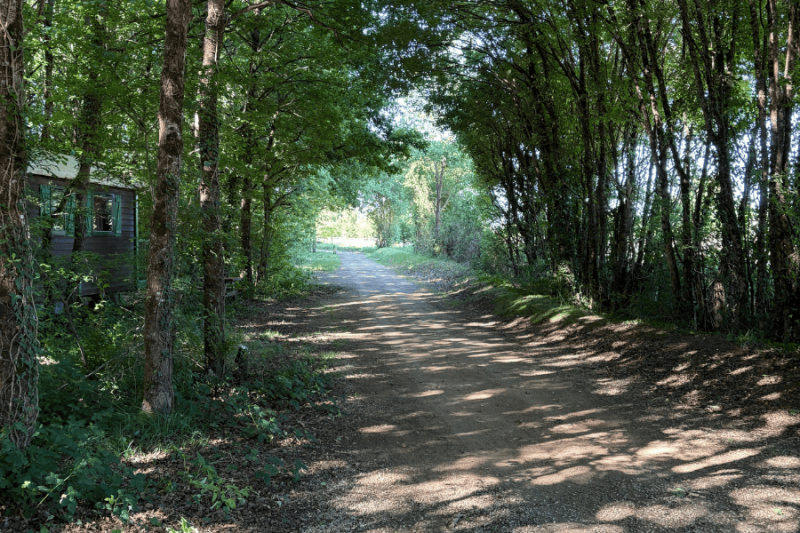 Séminaire au vert du Domaine de Dienné