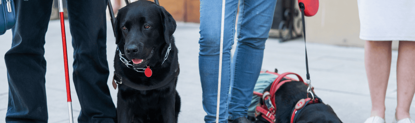 accessibilite-au-domaine-de-dienne