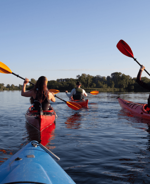 Activité nature - kayak