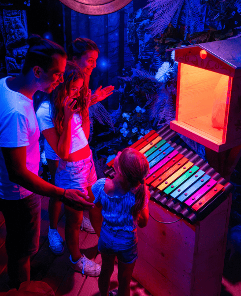 Activités groupes adultes