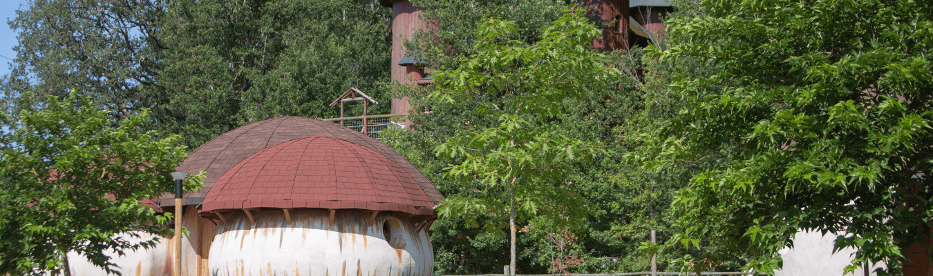 Activités groupes adultes - hébergements