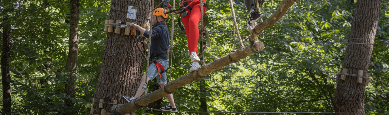 aven-thur-a-proximite-du-domaine-de-dienne