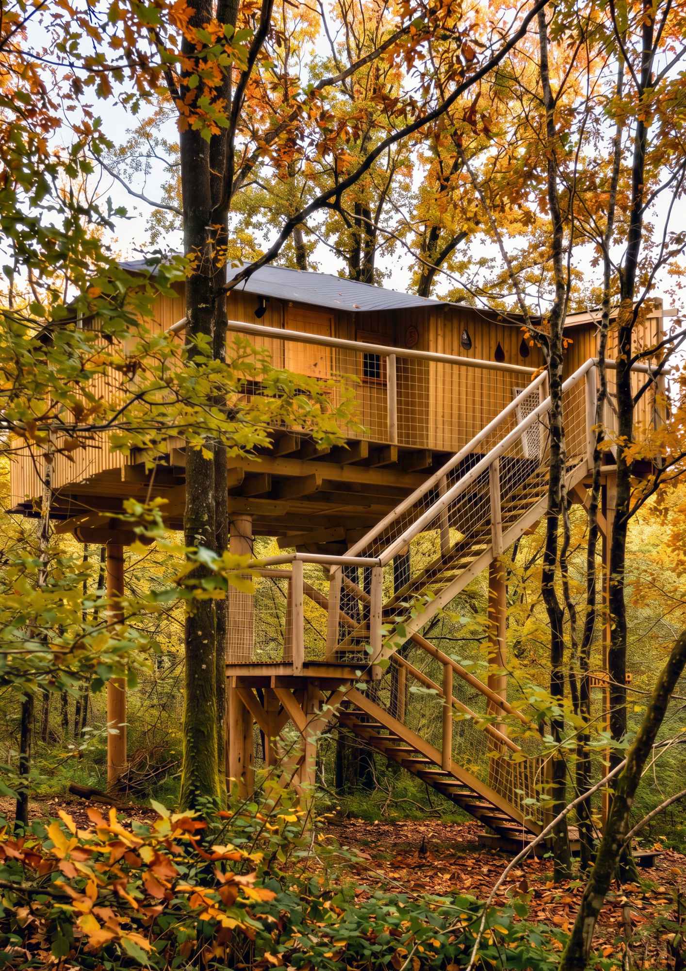 cabane-arbre-domaine-dienne