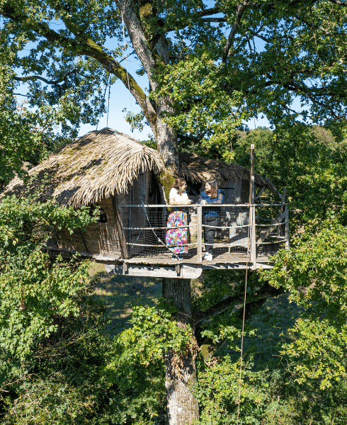 cabane-dans-les-arbres-au-parc-de-la-belle-a-proximite-du-domaine-de-dienne