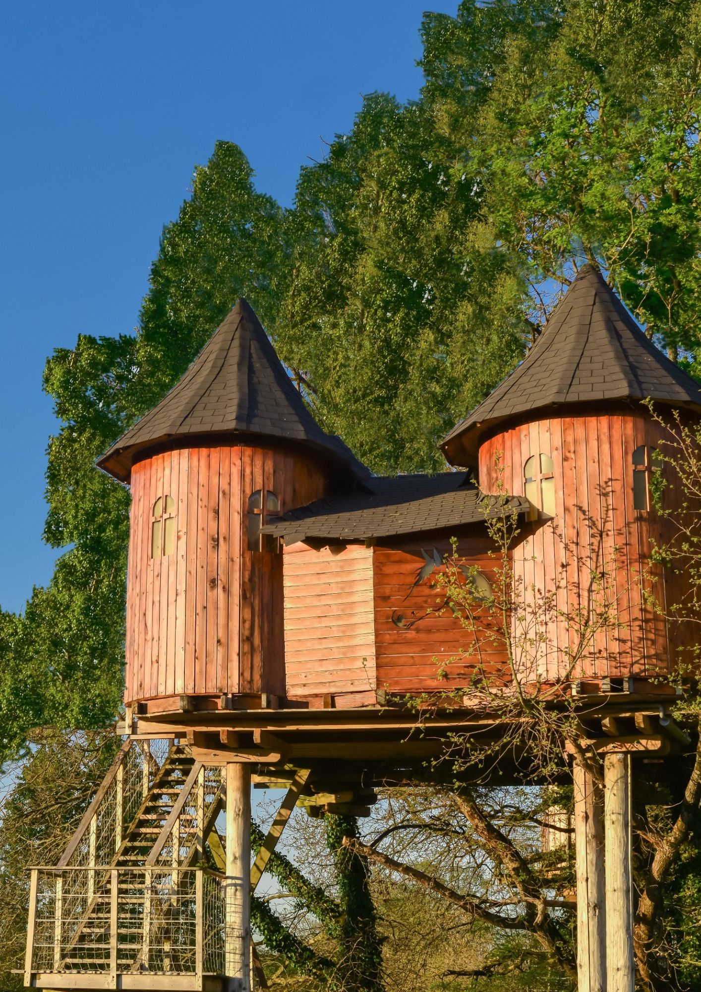 Chateau-dans-les-arbres-dienne Chateau-dans-les-arbres-dienne