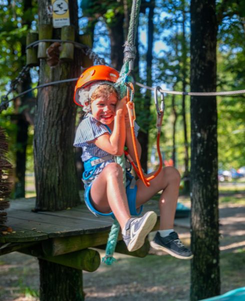 DDD-VS-FUN-FOREST-ACT