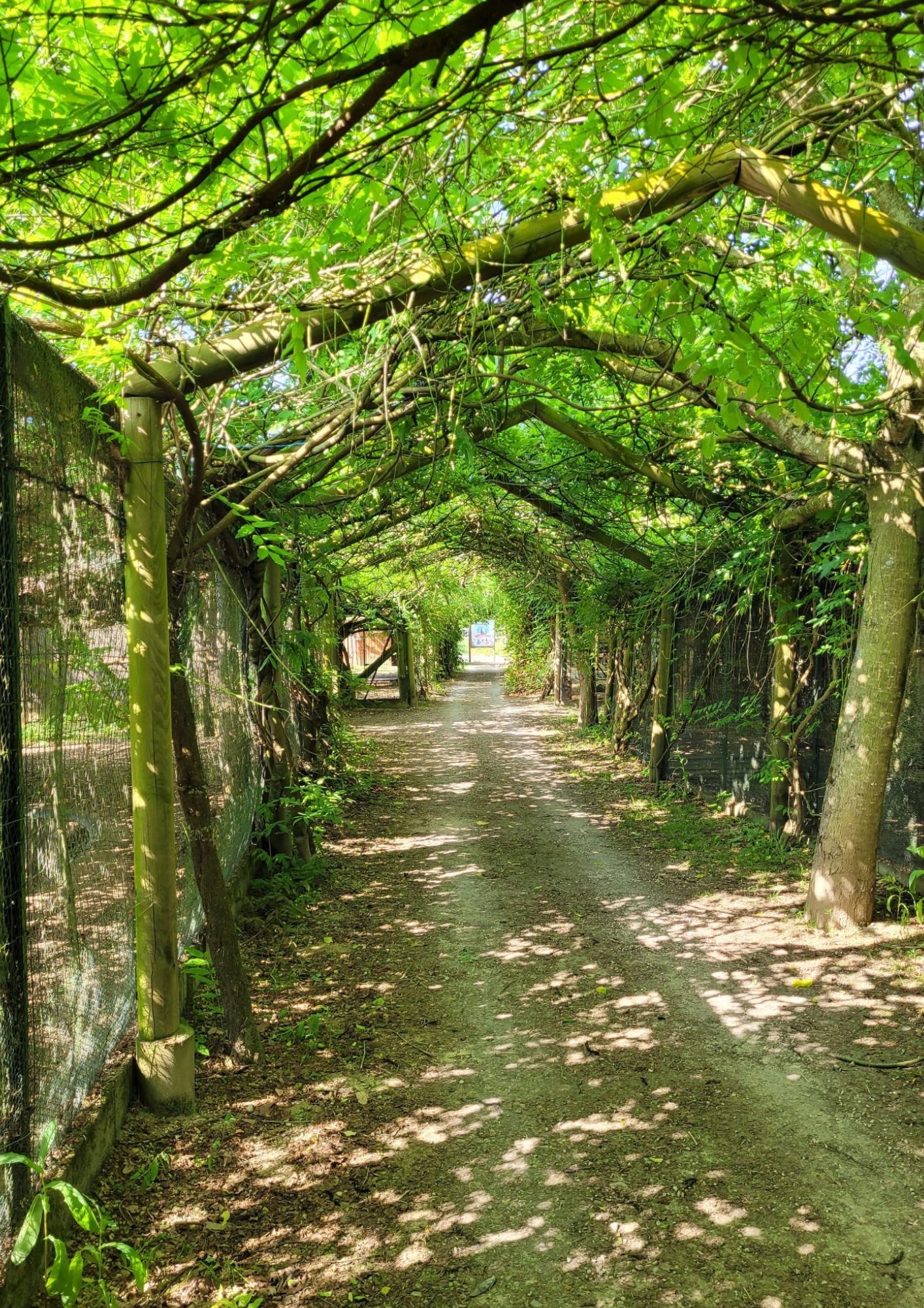 dienne-domaine-nature dienne-domaine-nature