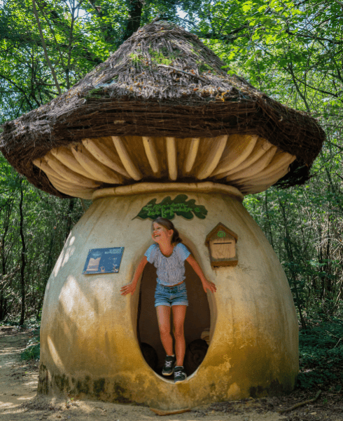 Expériences insolites