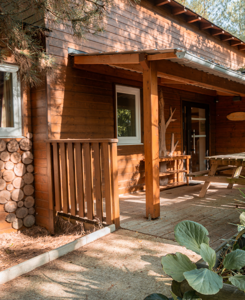 L'Hôtel des Pins : retrouver le confort hôtelier dans un cadre nature L'Hôtel des Pins : retrouver le confort hôtelier dans un cadre nature