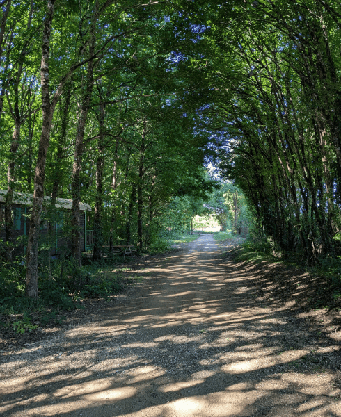 les-engagements-du-domaine-de-dienne