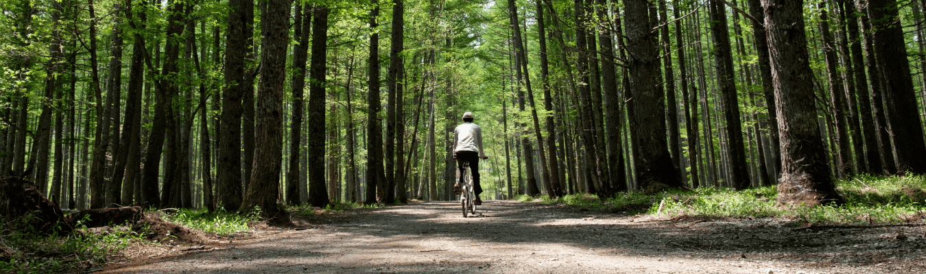 location-de-velos-et-de-rosalie-au-domaine-de-dienne-pres-de-poitiers