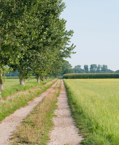 vacances à la campagne - détente 