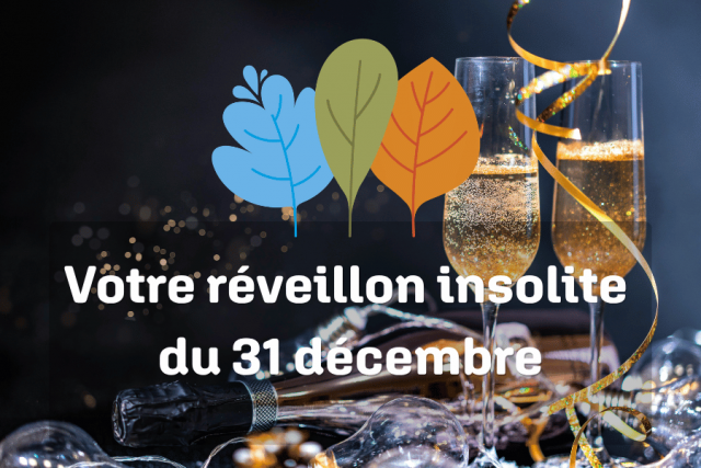 nouvel-an-vignette-4-1231