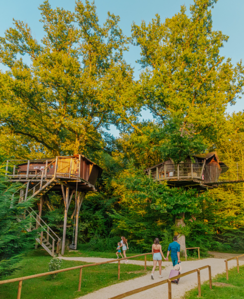 Organiser-séjours-CSE-cabanes