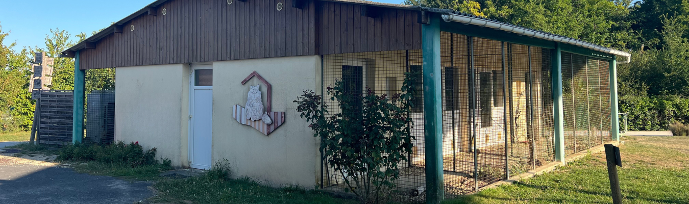 pension-animaux-au-domaine-de-dienne