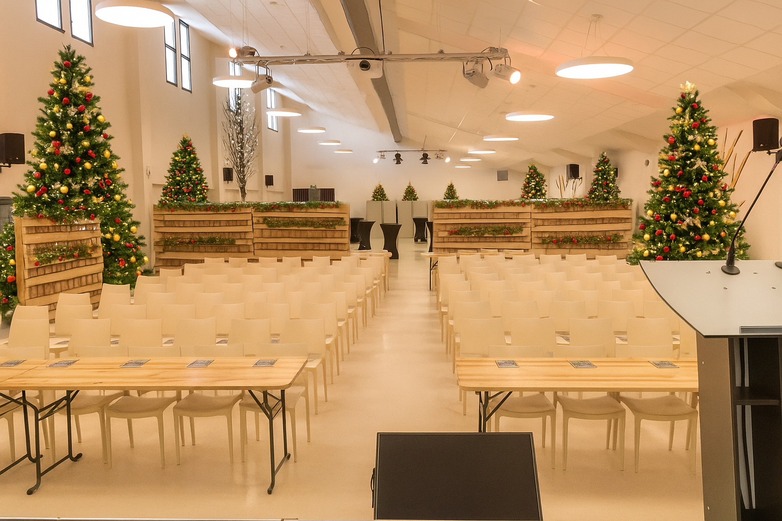 Salle-arion-décorée-arbre-de-noel-domaine-de-dienne