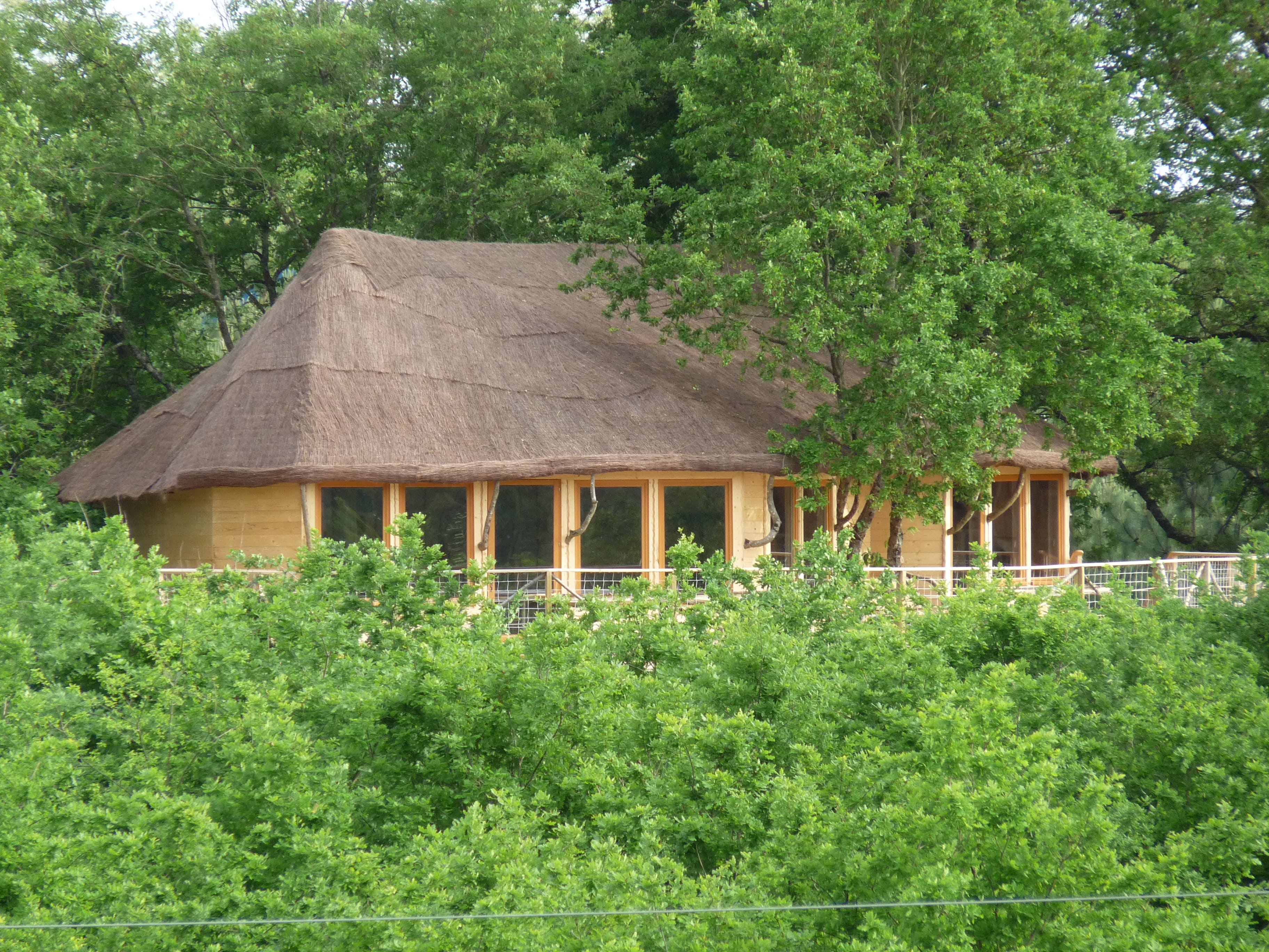 salle-dans-les-arbres-seminaire-au-vert-domaine-de-dienne