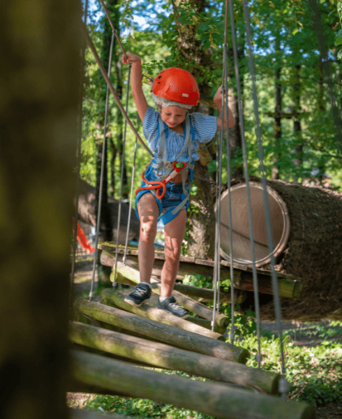 séjours nature - escapade en forêt séjours nature - escapade en forêt