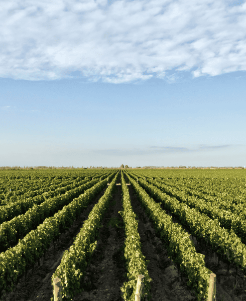 séminaire avec privatisation de site - cadre exceptionnel