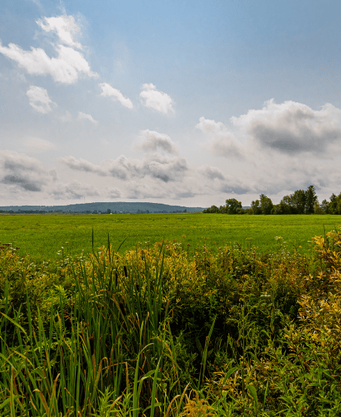 séminaire nature - ressourcement séminaire nature - ressourcement