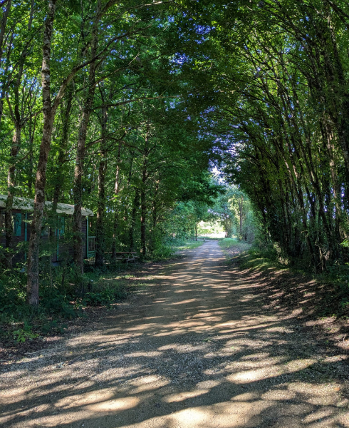 Un-cadre-exceptionnel-journée-CSE