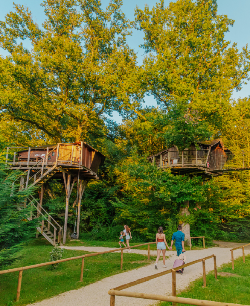 un-cadre-nature-préservé-en-été