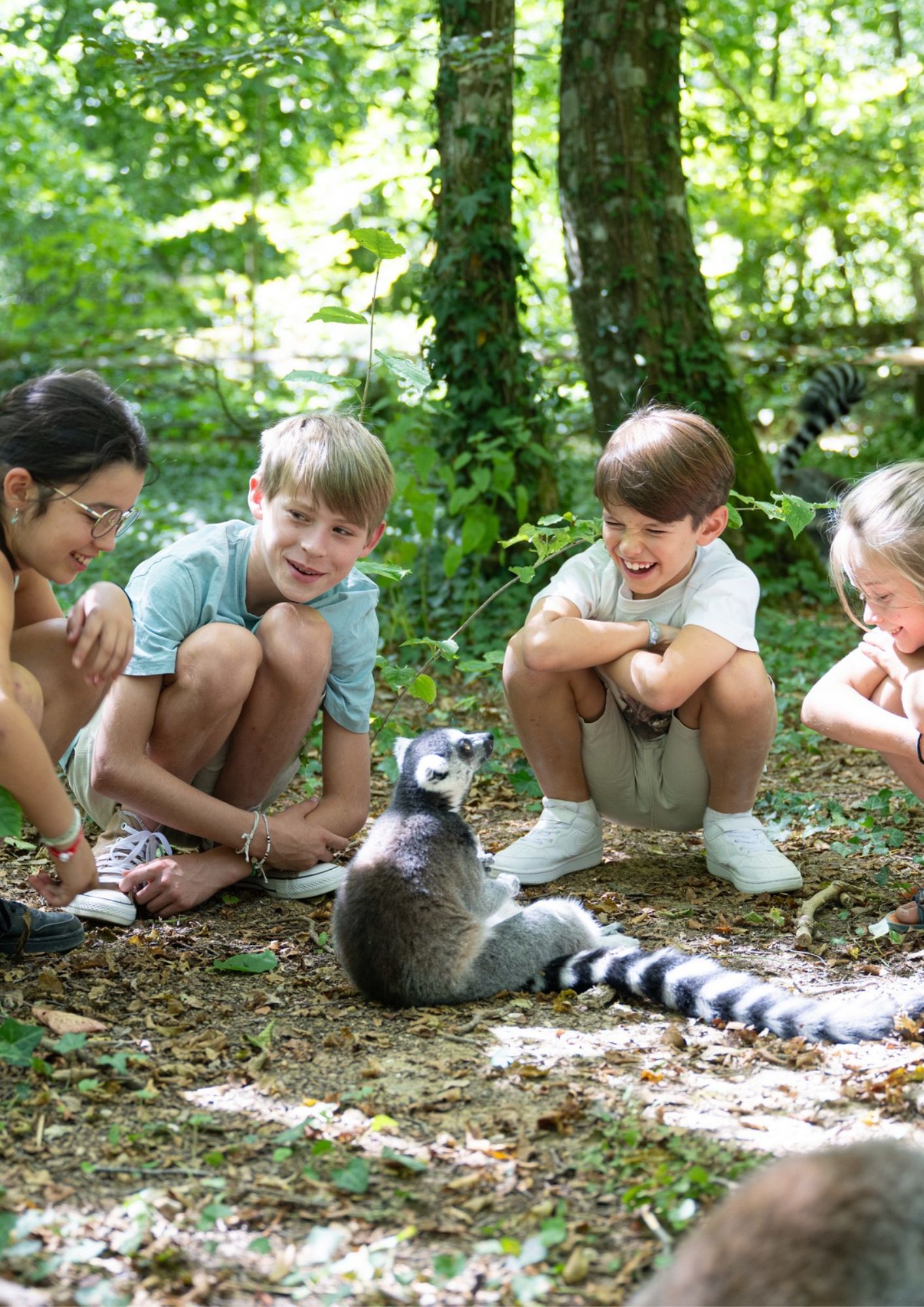 vallee-des-singes vallee-des-singes