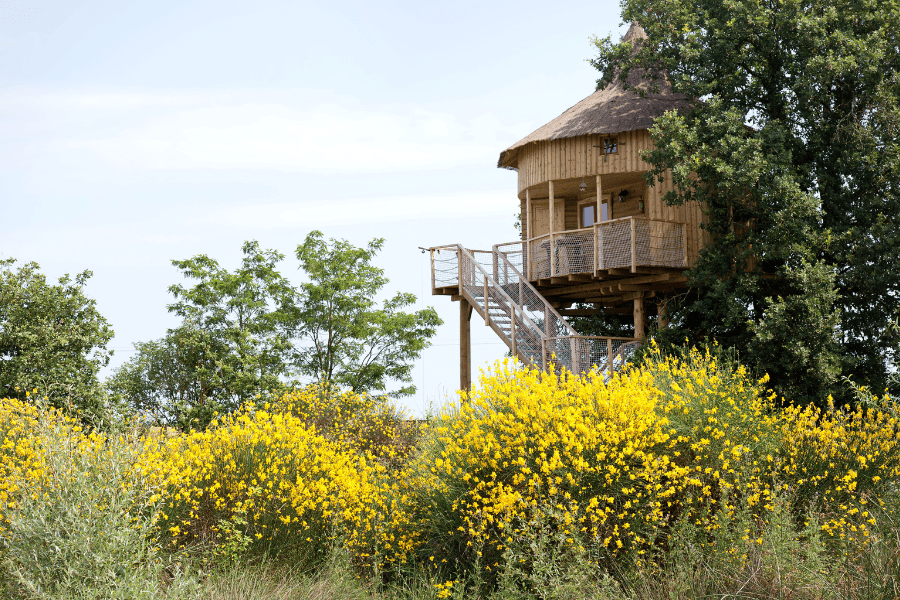 Maison dans les arbres 4 pers. - Domaine de Dienné