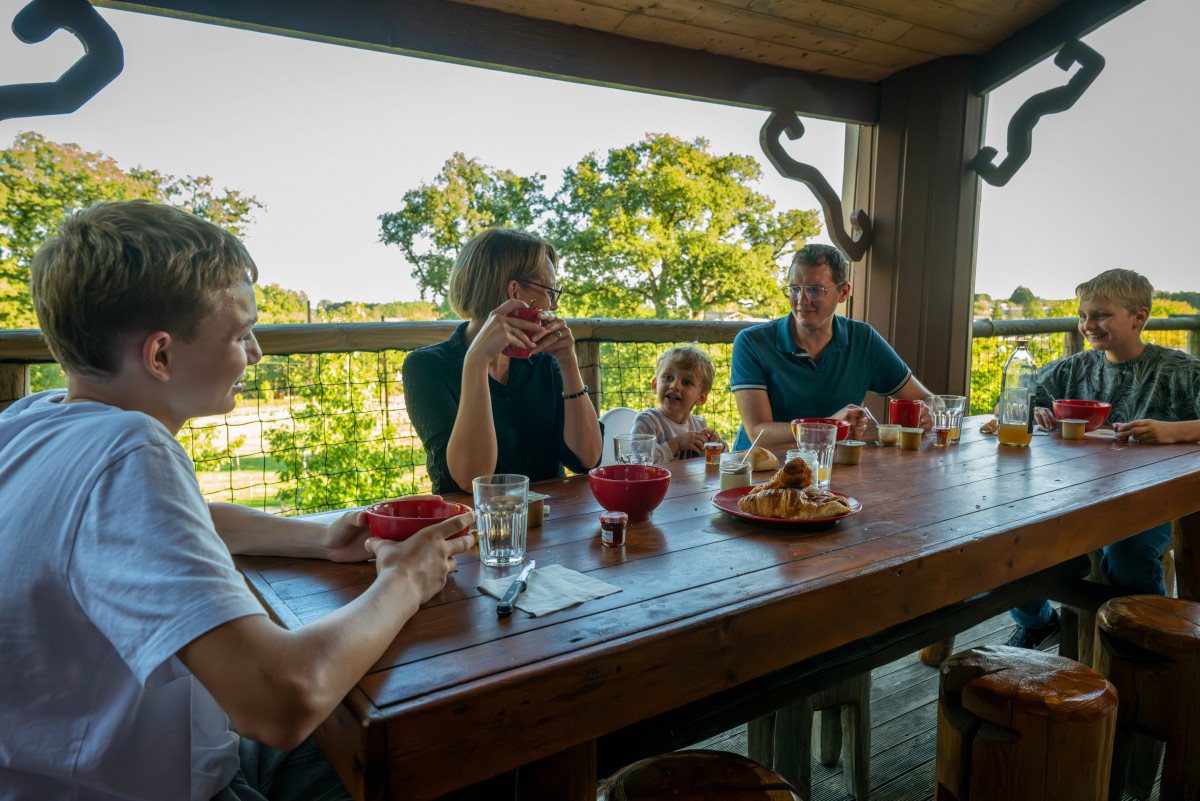 Château dans les arbres - Domaine de Dienné 14 Château dans les arbres - Domaine de Dienné 14
