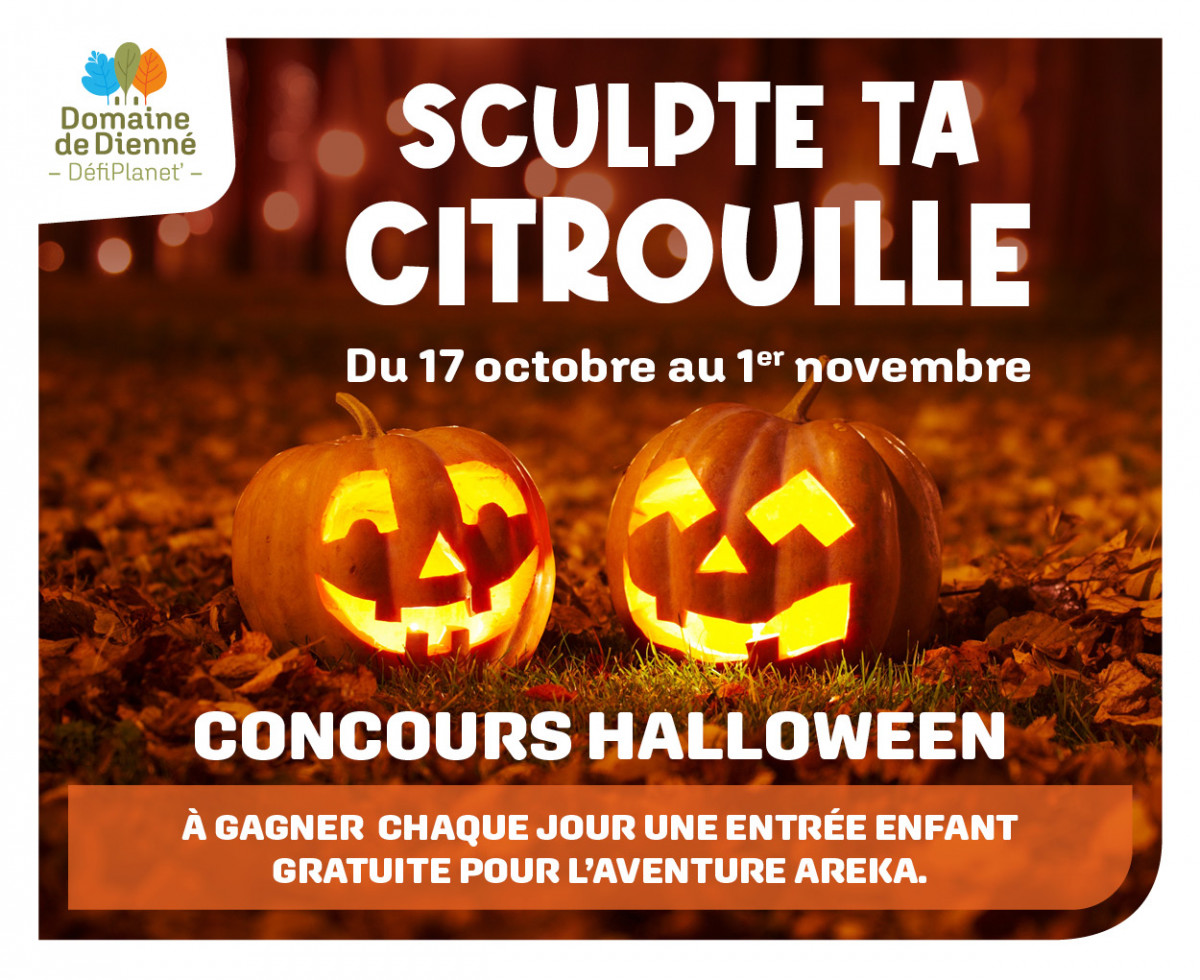 sculte-ta-citrouille-42124 sculte-ta-citrouille-42124
