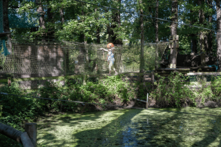 accrobranche-domaine-de-dienne-pres-de-poitiers