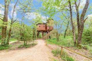 Manoir dans les arbres - Domaine de Dienné