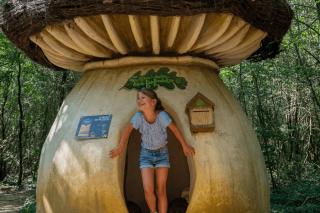 Mission Areka  - Domaine de Dienné 4