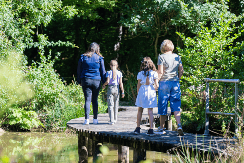 Parc de la Belle - Pass 4 Parc