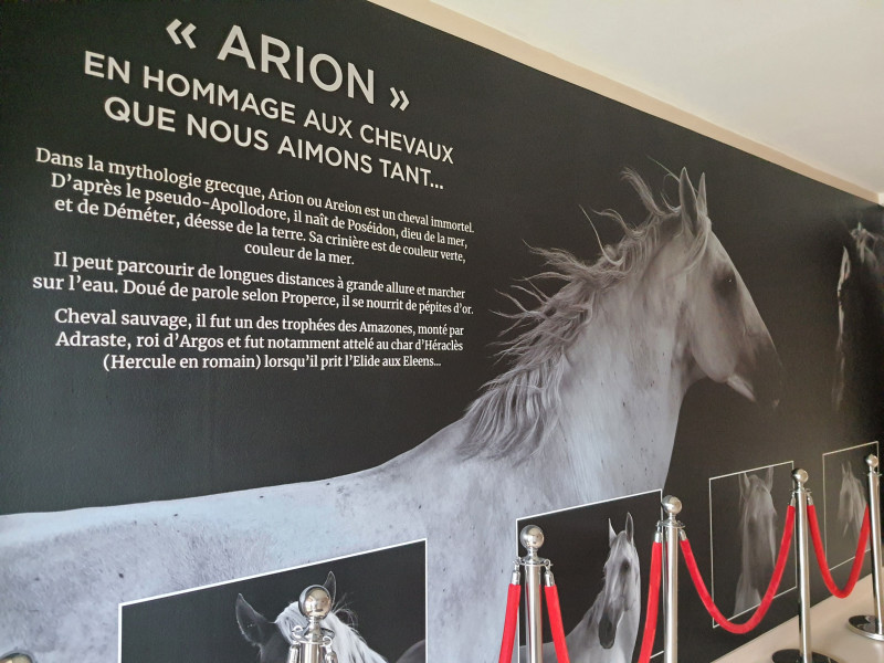 Salle Arion - Domaine de Dienné 6