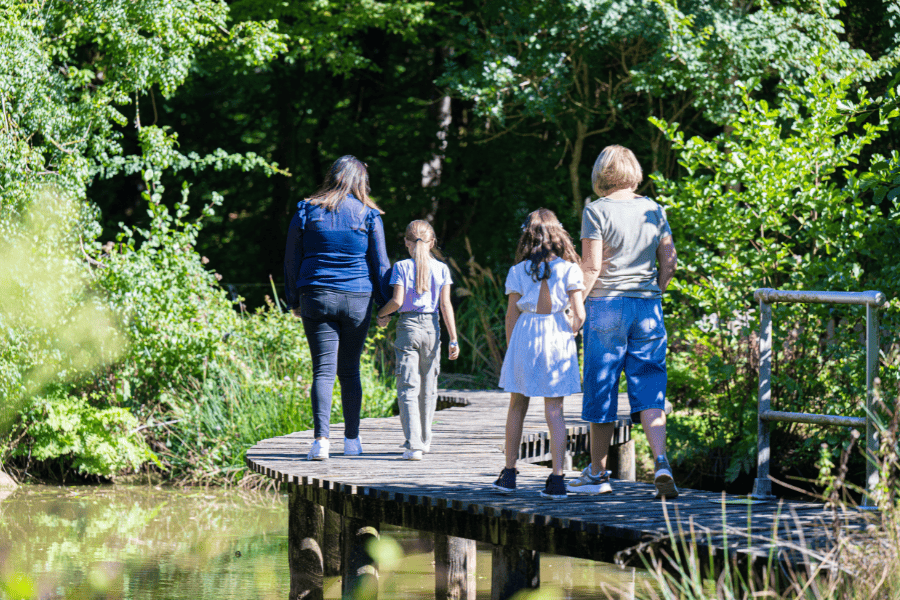 Parc de la Belle - Pass 4 Parc