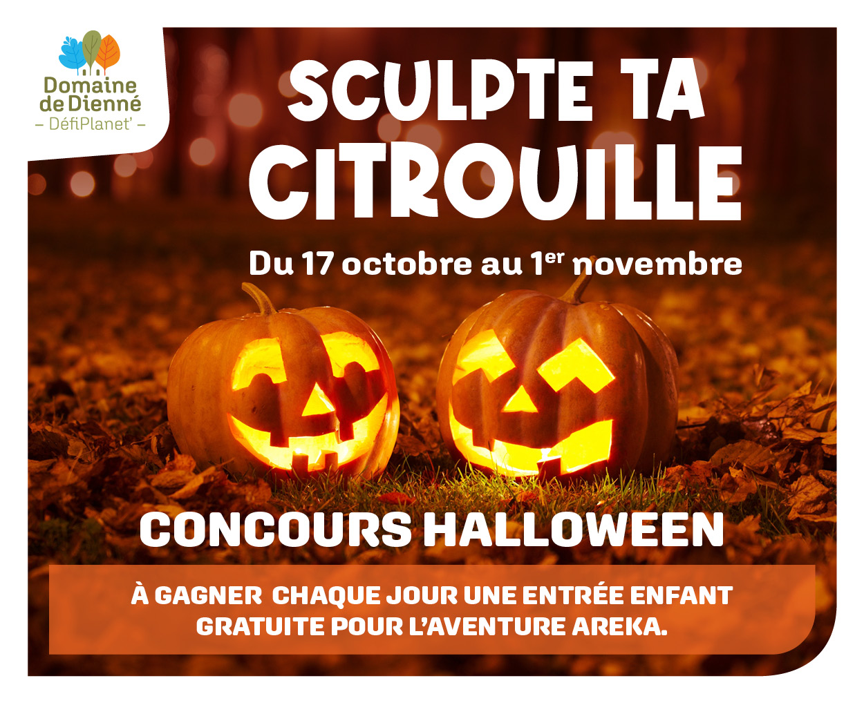 sculte-ta-citrouille-42124